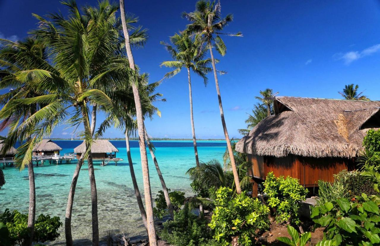 Sofitel Private Island Hotel